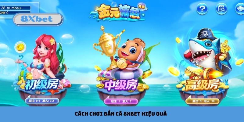 choi-ban-ca-8xbet-hieu-qua